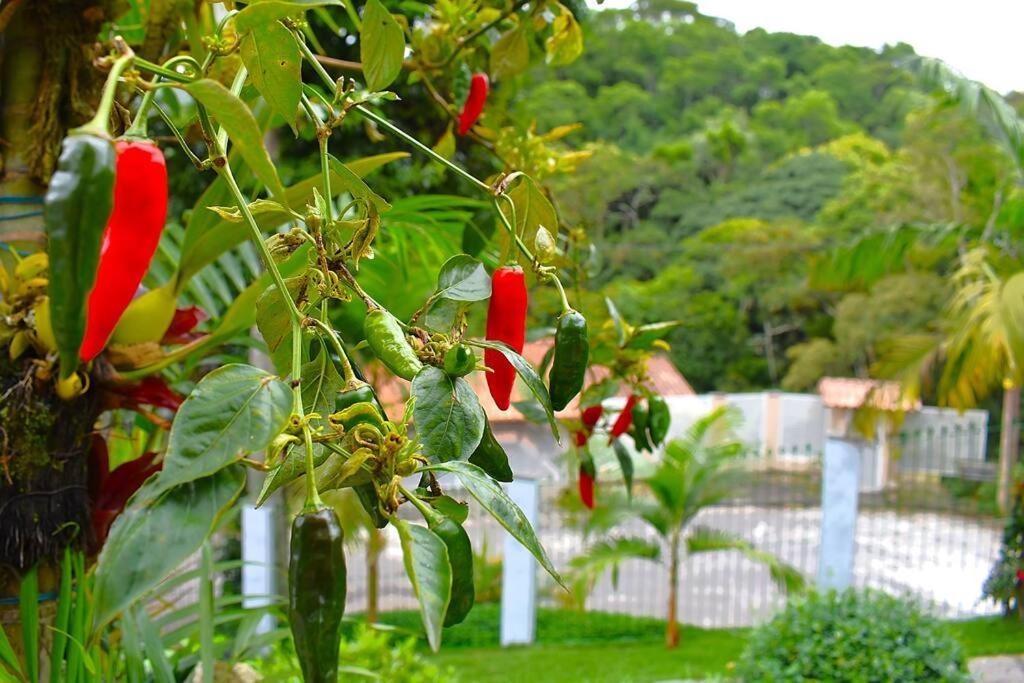 Holiday home Casa Espetacular No Centro Da Serra